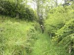 2013-05-01-443.jpg