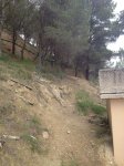 IMG_0886.JPG