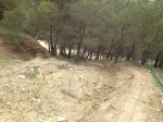 IMG_0889.JPG