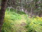IMG_0901.JPG