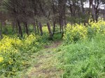 IMG_0902.JPG