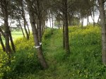 IMG_0906.JPG