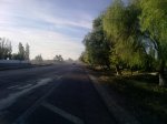P010513_08.50.jpg