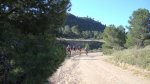 DSC00014.JPG