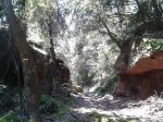 2013-05-02 11.33.58.jpg