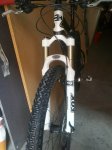 IMG_20130502_183209.jpg