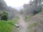 2013-04-27 0_opt.jpg