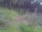 2013-04-27 20_opt.jpg