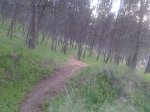 2013-04-220_opt.jpg