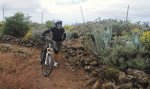 DSC01009.JPG