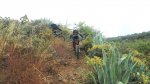 DSC01014.JPG