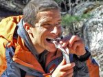 bear grylls.jpg