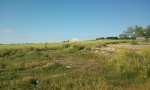 2013-05-03 09.56.15.jpg