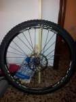 20130503_125252.jpg