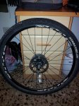 20130503_125330.jpg