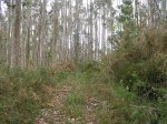 Imagen 010.jpg