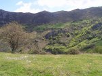 Imagen 013.jpg