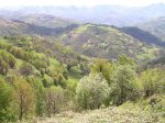 Imagen 020.jpg