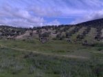 01052007144.jpg