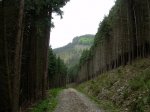 DSCN3081.JPG