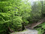 DSCN3095.JPG