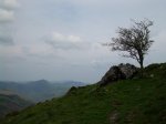 DSCN3097.JPG