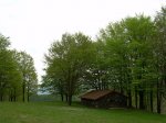 DSCN3107.JPG