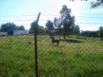 DSC00525.jpg