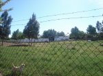 DSC00529.jpg