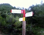 20070430_003.jpg