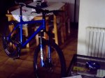 btt HU 275.jpg