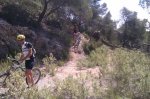 IMAG0853.jpg
