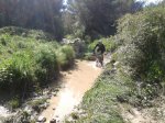 2013-05-01 10.32.27.jpg
