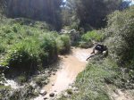 2013-05-01 10.32.29.jpg