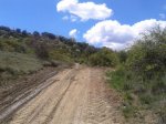 2013-05-04 13.28.39.jpg
