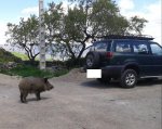 2013-05-04 13.47.26.jpg