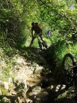 2013-05-04 11.27.33.jpg
