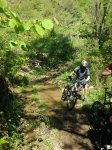 2013-05-04 11.29.16.jpg