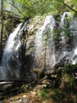 2013-05-04 11.41.21.jpg