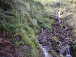 DSC02518.jpg