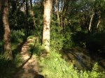 Foto 04-05-13 18 59 18.jpg