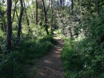 Foto 04-05-13 18 59 21.jpg