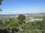 IMG_1661.JPG