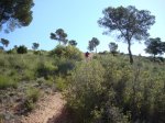 DSC00059.JPG