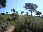 DSC00061.JPG
