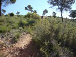 DSC00062.JPG