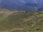 IMG_19911.jpg