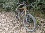DSC08043 640.jpg