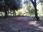 CAM00392.jpg