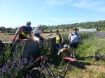 2013-05-05 10.43.46.jpg
